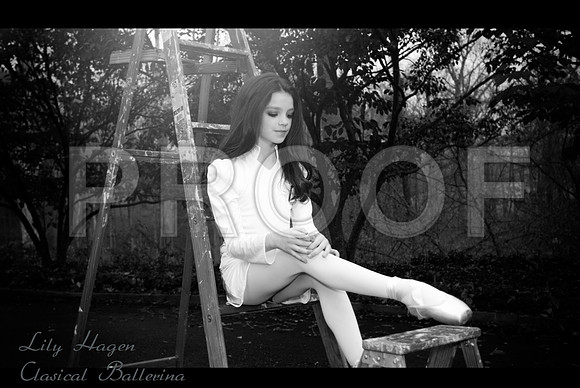 MonicaHahnPhotography, Monica Hahn, FenceOgraphy, sue bryce, fashion, teen vogue, photoshoot, beauty, glam the dress, portrait, portrait photographer, senior pictures, senior photo shoot, photo shoot,