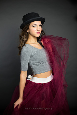 Copyright: MonicaHahnPhotography.com & FenceOgraphy.com