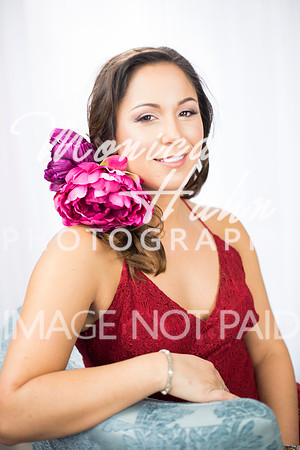 Copyright: MonicaHahnPhotography.com & FenceOgraphy.com