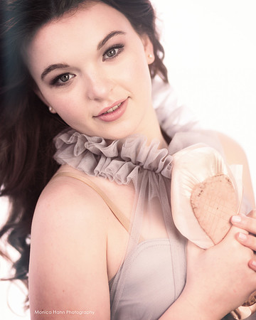 Monica Hahn Photography & FenceOgraphy