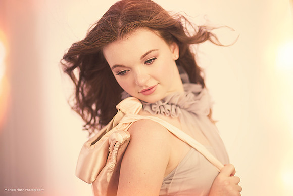Monica Hahn Photography & FenceOgraphy