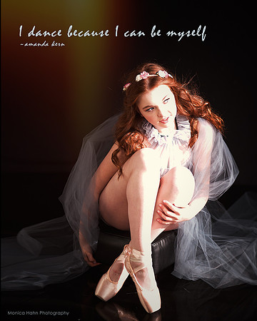 Monica Hahn Photography & FenceOgraphy