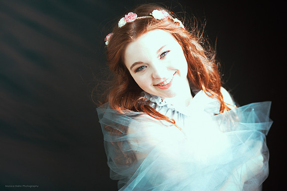 Monica Hahn Photography & FenceOgraphy
