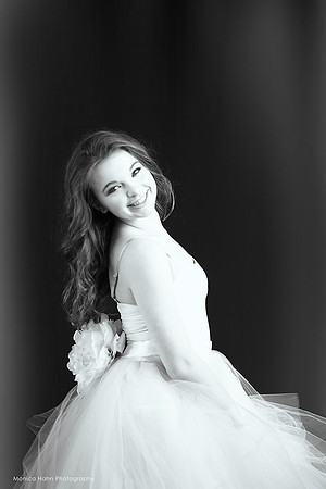 Monica Hahn Photography & FenceOgraphy