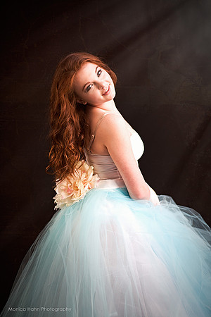Monica Hahn Photography & FenceOgraphy