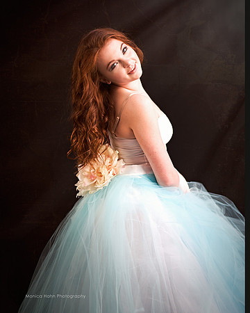 Monica Hahn Photography & FenceOgraphy
