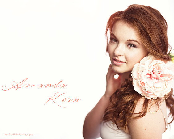 Monica Hahn Photography & FenceOgraphy