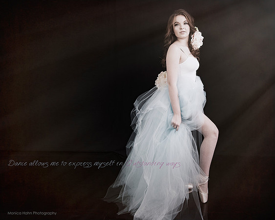 Monica Hahn Photography & FenceOgraphy