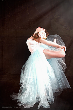 Monica Hahn Photography & FenceOgraphy