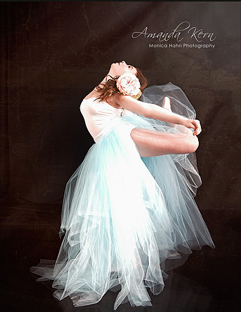Monica Hahn Photography & FenceOgraphy