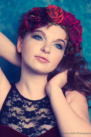 Monica Hahn Photography & FenceOgraphy