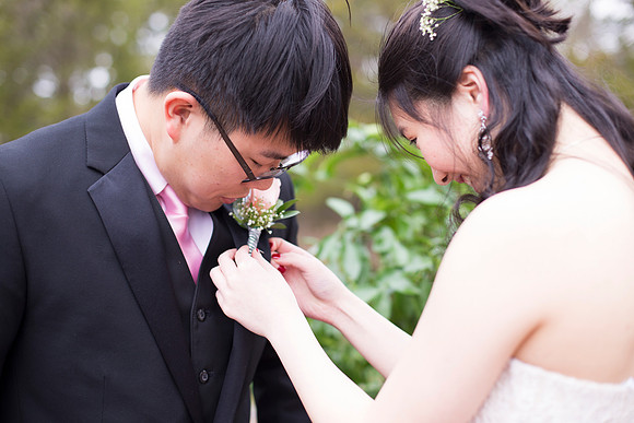 Copyright: MonicaHahnPhotography.com & FenceOgraphy.com