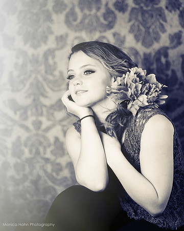 Copyright: MonicaHahnPhotography.com & FenceOgraphy.com
