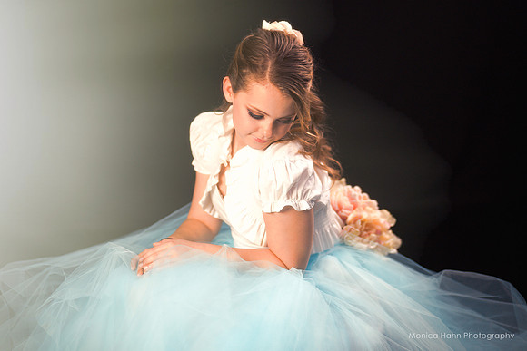Copyright: MonicaHahnPhotography.com & FenceOgraphy.com