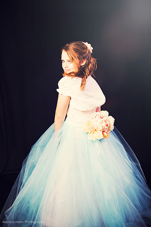 Copyright: MonicaHahnPhotography.com & FenceOgraphy.com