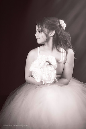 Copyright: MonicaHahnPhotography.com & FenceOgraphy.com
