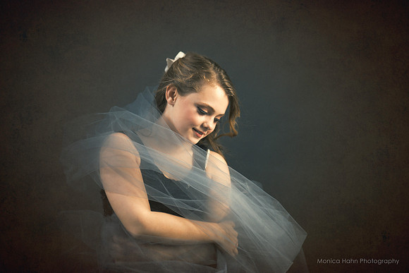 Copyright: MonicaHahnPhotography.com & FenceOgraphy.com