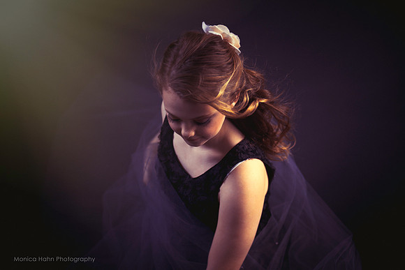 Copyright: MonicaHahnPhotography.com & FenceOgraphy.com