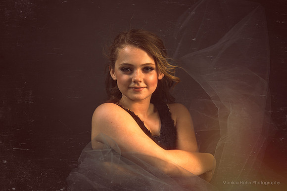 Copyright: MonicaHahnPhotography.com & FenceOgraphy.com