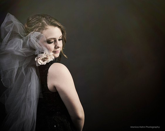 Copyright: MonicaHahnPhotography.com & FenceOgraphy.com