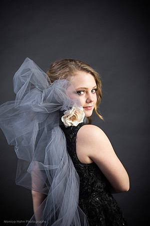 Copyright: MonicaHahnPhotography.com & FenceOgraphy.com