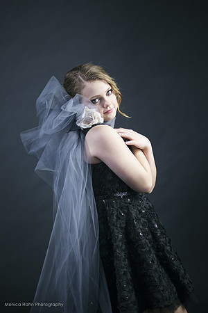 Copyright: MonicaHahnPhotography.com & FenceOgraphy.com