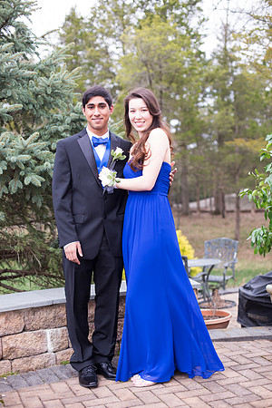 Copyright: MonicaHahnPhotography.com & FenceOgraphy.com