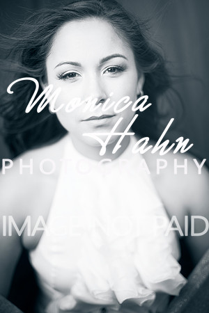 Copyright: MonicaHahnPhotography.com & FenceOgraphy.com