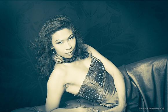 Copyright: MonicaHahnPhotography.com & FenceOgraphy.com