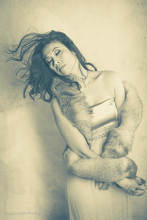 Copyright: MonicaHahnPhotography.com & FenceOgraphy.com