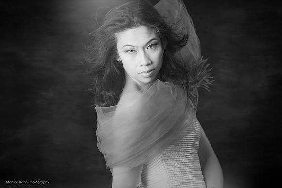 Copyright: MonicaHahnPhotography.com & FenceOgraphy.com
