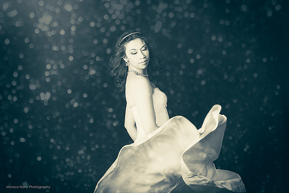 Copyright: MonicaHahnPhotography.com & FenceOgraphy.com