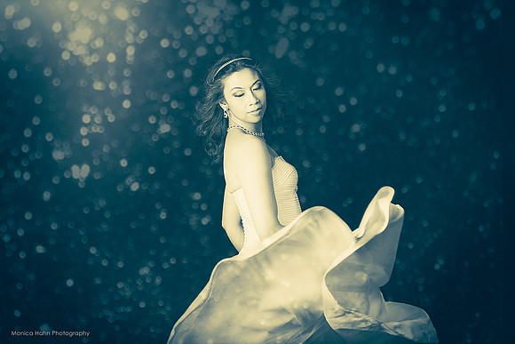 Copyright: MonicaHahnPhotography.com & FenceOgraphy.com