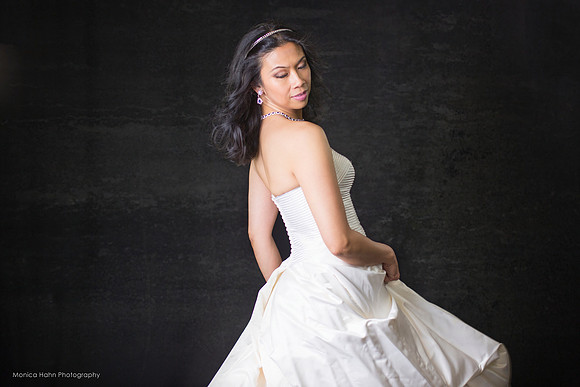 Copyright: MonicaHahnPhotography.com & FenceOgraphy.com