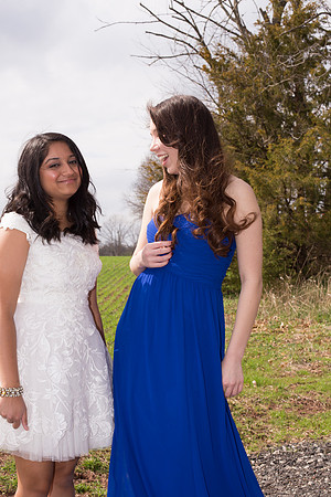 Copyright: MonicaHahnPhotography.com & FenceOgraphy.com