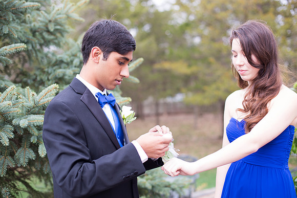 Copyright: MonicaHahnPhotography.com & FenceOgraphy.com