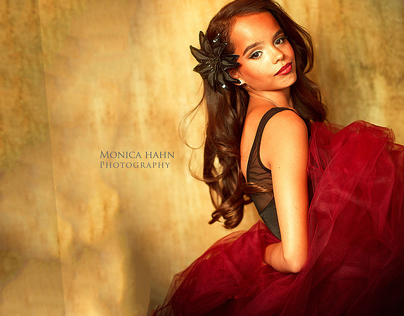 Copyright: MonicaHahnPhotography.com & FenceOgraphy.com