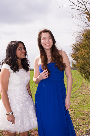 Copyright: MonicaHahnPhotography.com & FenceOgraphy.com