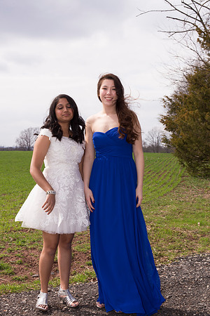 Copyright: MonicaHahnPhotography.com & FenceOgraphy.com