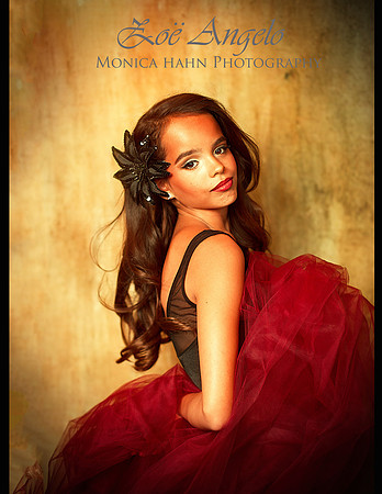 Copyright: MonicaHahnPhotography.com & FenceOgraphy.com