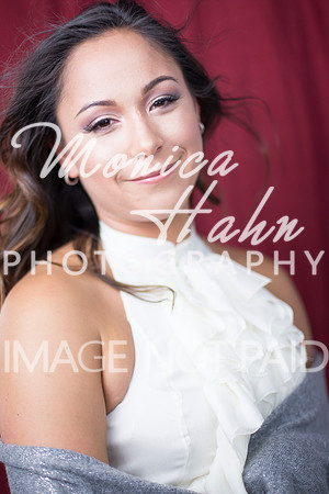 Copyright: MonicaHahnPhotography.com & FenceOgraphy.com