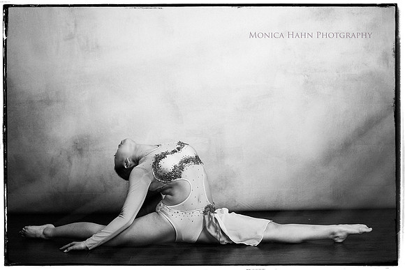 Copyright: MonicaHahnPhotography.com & FenceOgraphy.com