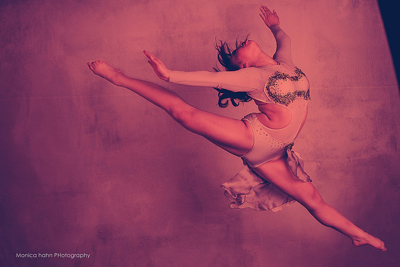 Copyright: MonicaHahnPhotography.com & FenceOgraphy.com