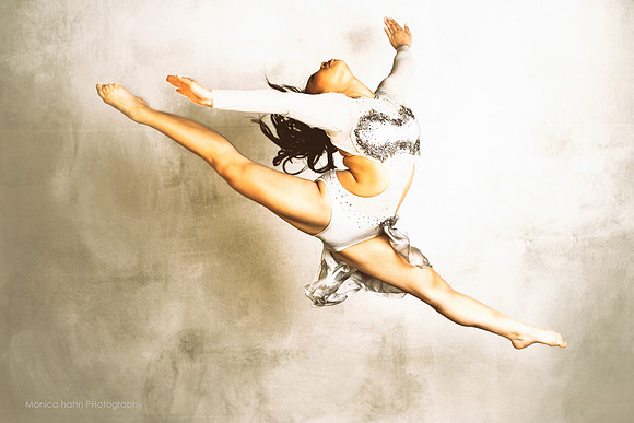 Copyright: MonicaHahnPhotography.com & FenceOgraphy.com