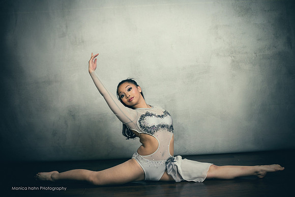 Copyright: MonicaHahnPhotography.com & FenceOgraphy.com