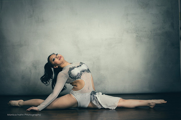Copyright: MonicaHahnPhotography.com & FenceOgraphy.com