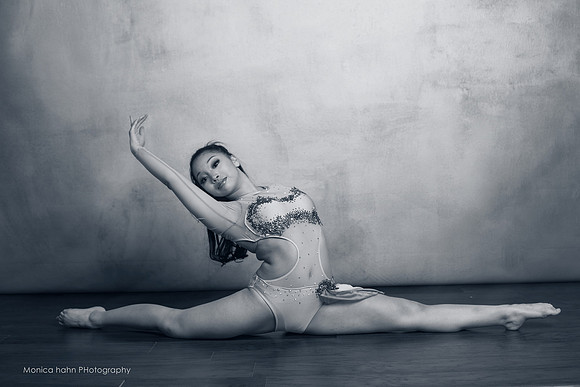 Copyright: MonicaHahnPhotography.com & FenceOgraphy.com
