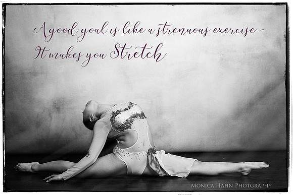 Copyright: MonicaHahnPhotography.com & FenceOgraphy.com