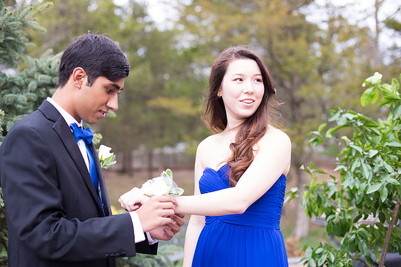 Copyright: MonicaHahnPhotography.com & FenceOgraphy.com