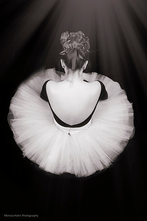 Monica Hahn Photography